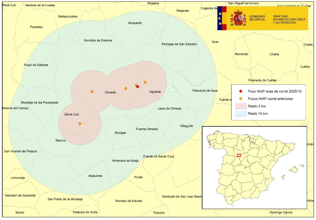 Localización del 12º brote de IAAP en aves de corral del 15 octubre 2025 en granja de 315.000 gallinas ponedoras (punto rojo) , en la provincia de Valladolid, detectado en la zona de vigilancia de los anteriores focos.