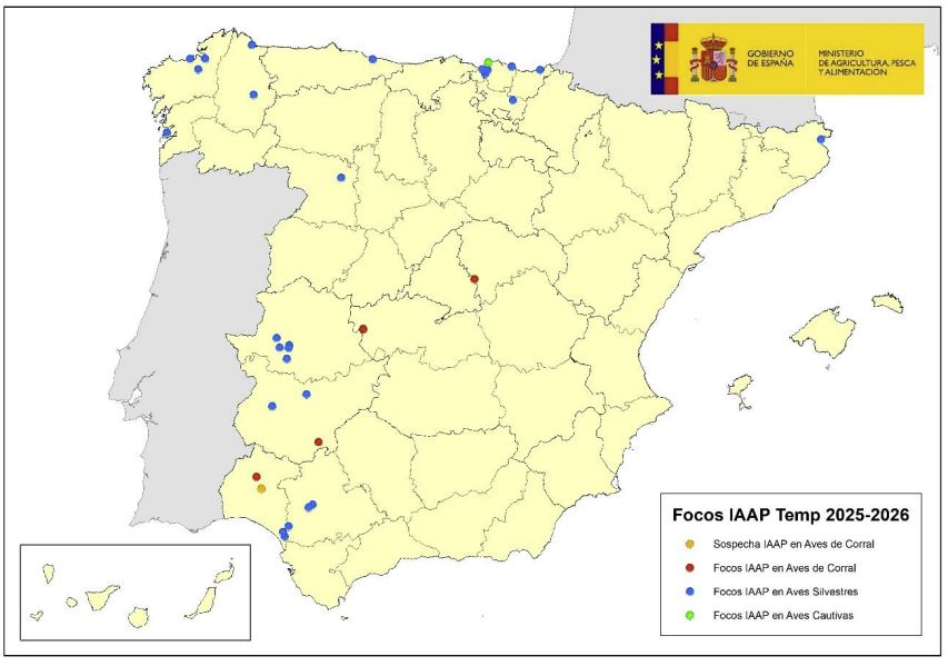 Location of HPAI outbreaks in wild birds and poultry notified in Spain during 2025. (updated as of 8 September 2025)