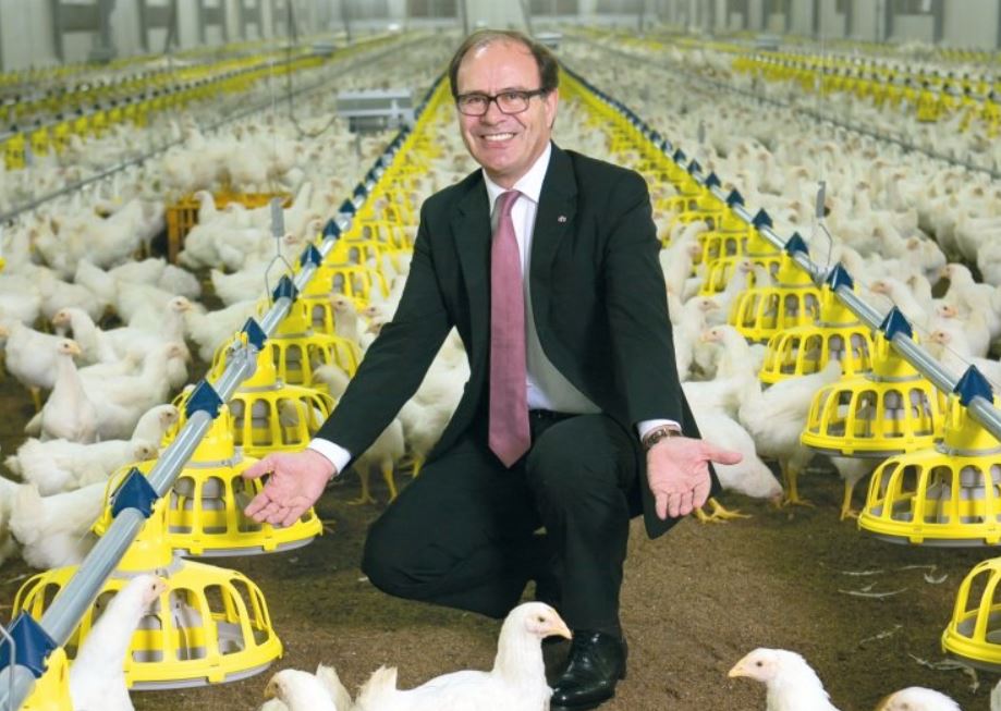 Lusiaves was founded in the 1970s as a supplementary income for Avelino Gaspar. It capitalised on the nitrofuran crisis of 2003 to grow and is today the largest poultry producer in Portugal, with significant international growth in its chicken meat sales.